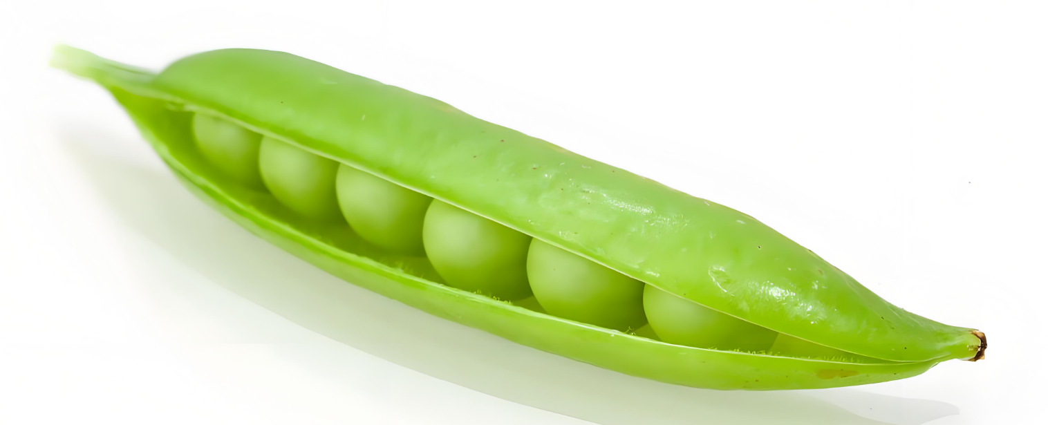 image-20240614195424071