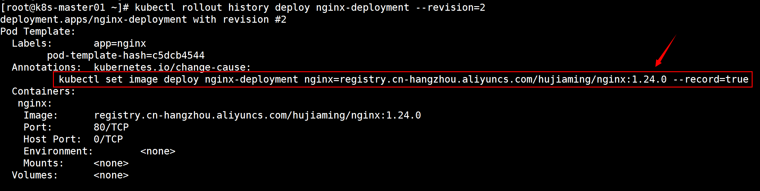 image-20240621002324924