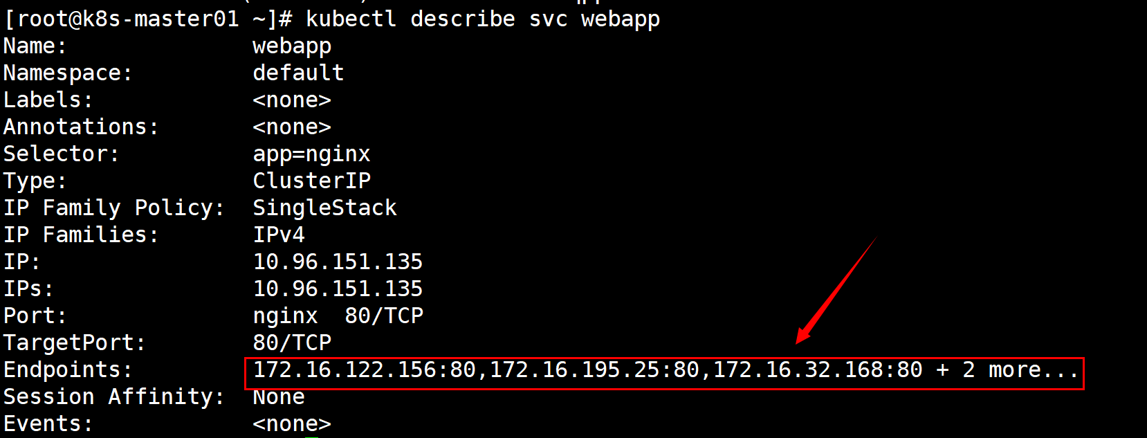 image-20240623003053059