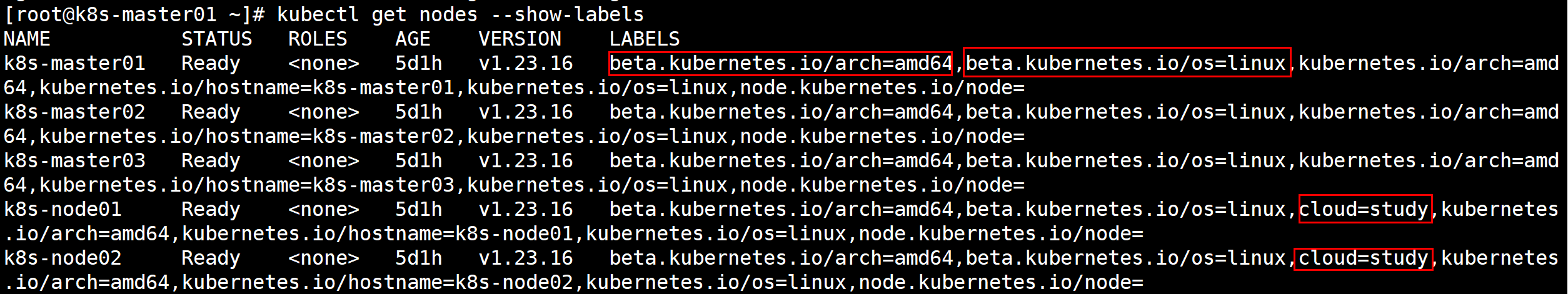 image-20240623121700265