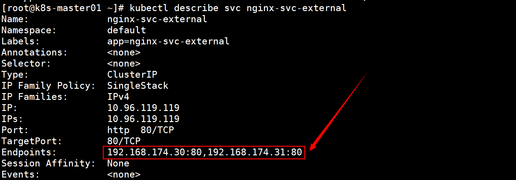 image-20240623141148220