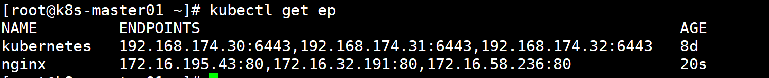 image-20240626110138161