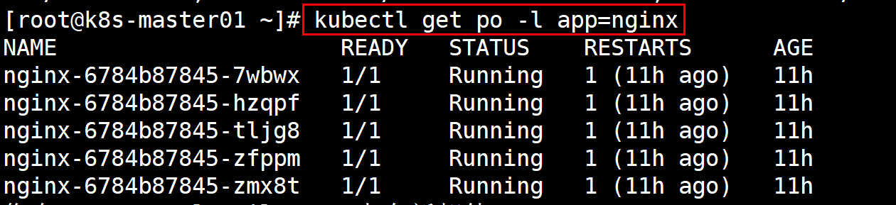 image-20240623121754690