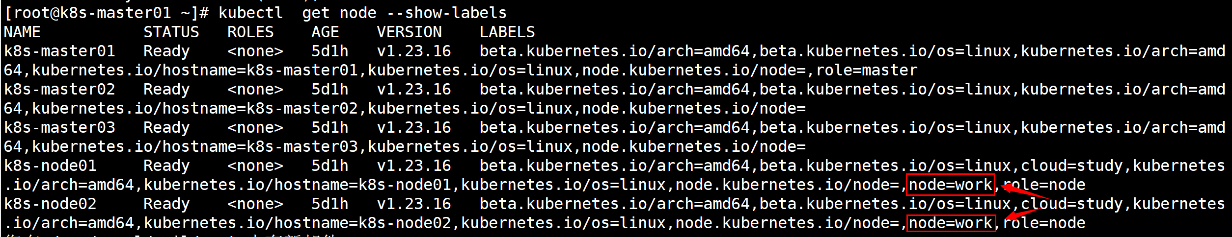 image-20240623123217515