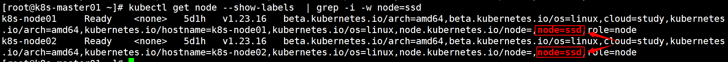 image-20240623123405535