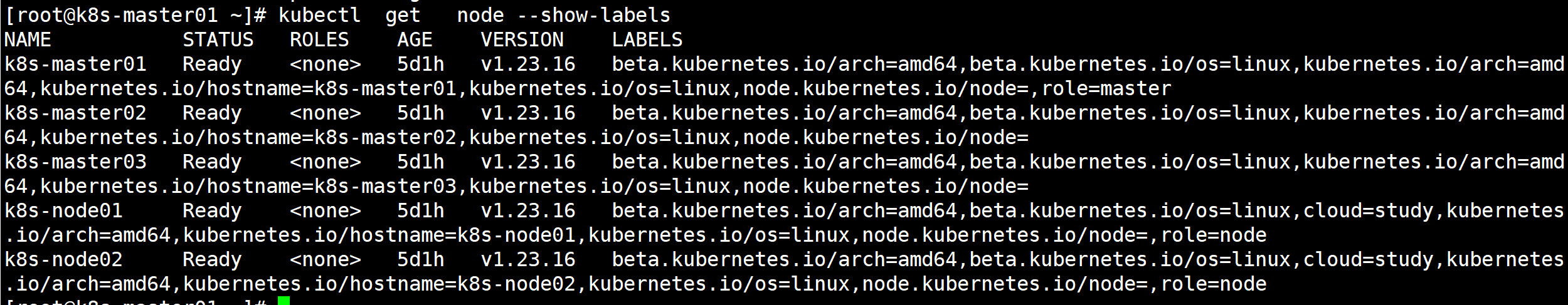 image-20240623123838478