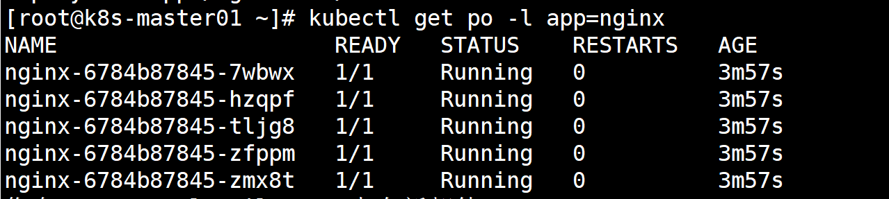 image-20240623002713313