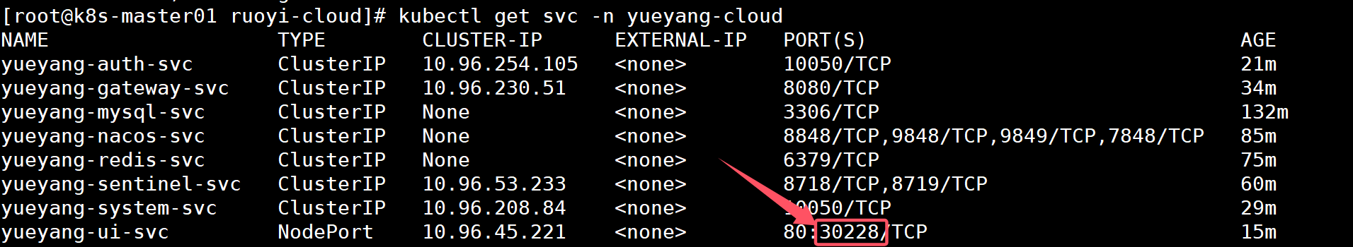 image-20240925014339109