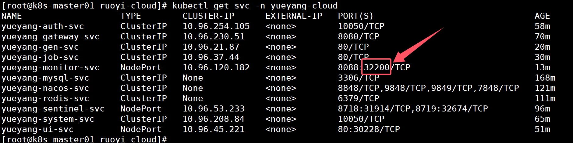 image-20240925021952232